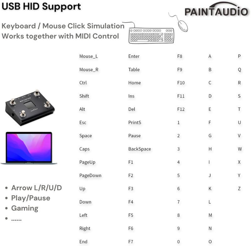 PAINTAUDIO Paint Audio MIDI Captain NANO 4 Foot Controller Multi-Effects Keyboards Synthesizer USB-MIDI DAW DSP Software USB-HID Support Multi-state Switch Cycling (MIDI Captain NANO 4) - Image 5